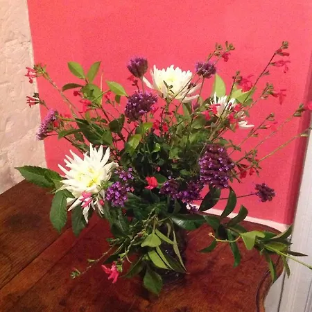 Frühstückspension Le Plessis Orvault