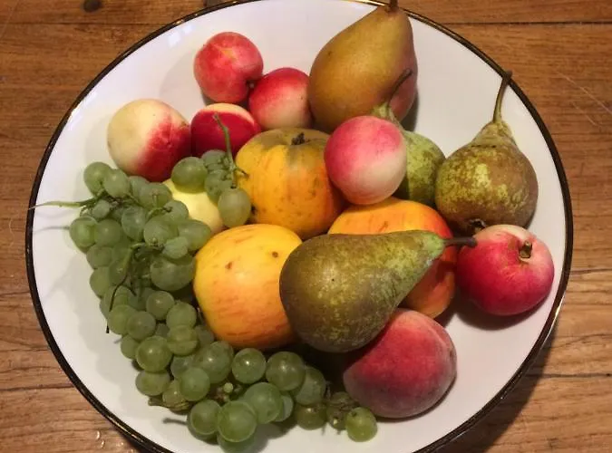 Le Plessis Bed and Breakfast